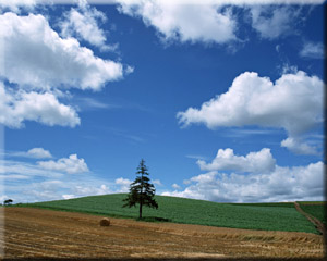 photo of pretty landscape with blue sky